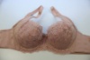 圖片 D0867紫(32/70B~40/90C)